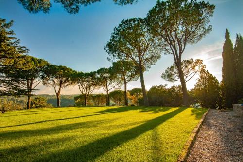 Luxury Villa - Torre Collevento - Orvieto