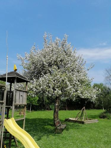 Gîte Normand Le Merle blanc 2 à 6 personnes (Gite Normand Le Merle blanc 2 a 6 personnes) in เมนิล-แว็ง