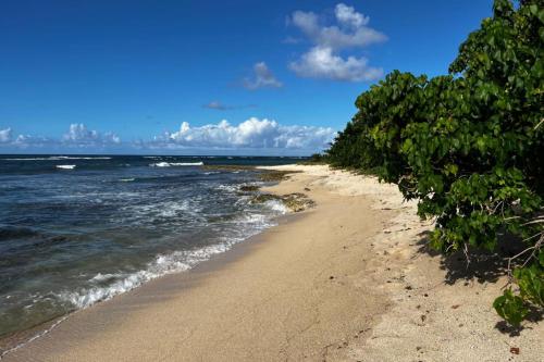 Appartement Seaside