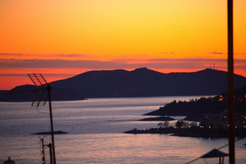 Lovely studio with beautiful garden