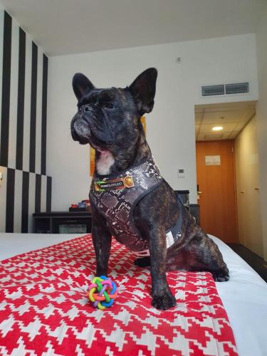 Wyndham Costa del Sol Lima City