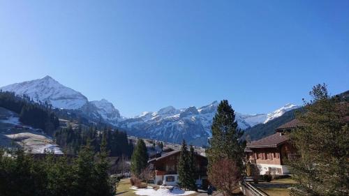  Chalet Wittebärg, Pension in Gsteig