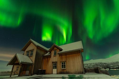 Amazing and secluded northern light apartment near sea and city!