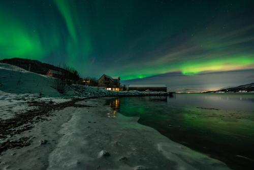 Amazing and secluded northern light apartment near sea and city!