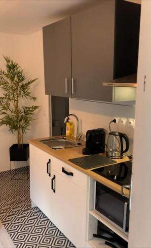 Studio VI proche ligne 14 Kremlin Bicêtre Room Type - One-Bedroom Apartment