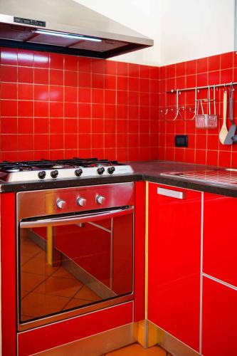 One-Bedroom Apartment image 10