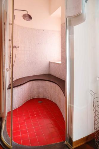 One-Bedroom Apartment image 7