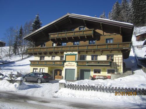 Haus Alpenland - image 4