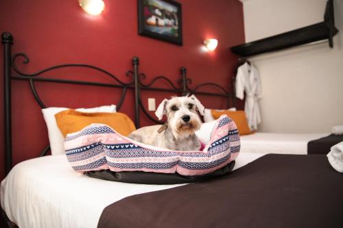 Plaza Poblana Room Type - Budget Double Room
