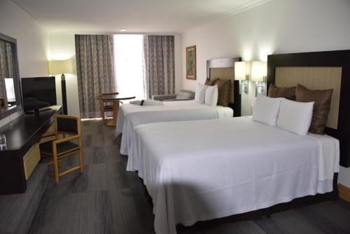 Hotel Royal Reforma in Mexico City, Mexico