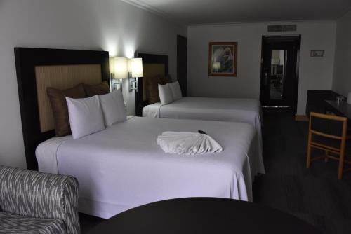Hotel Royal Reforma