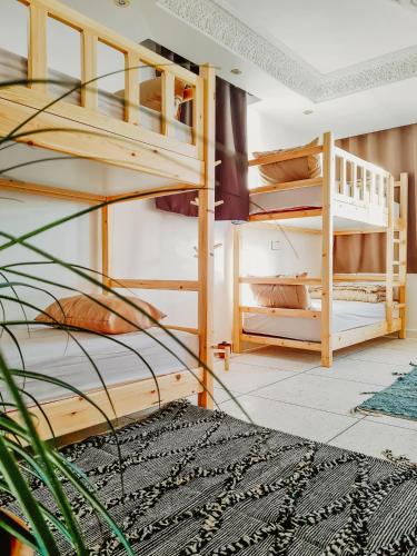 Cactus Surf & Skate House, Tamraght - Is it Worth it? NEW Reviews 2026