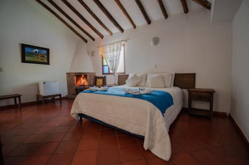 King Room with Spa Bath image 9