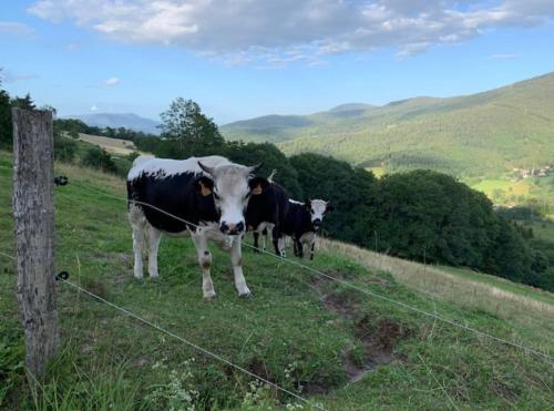 Ferme La Tourelle, nature & vue exceptionnelle