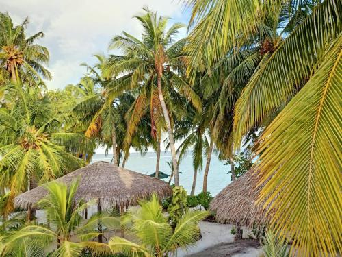 Island Life Maldives Retreat & Spa in Faafu Atoll