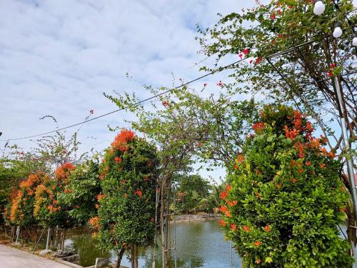 Ninh Binh Green Farmstay