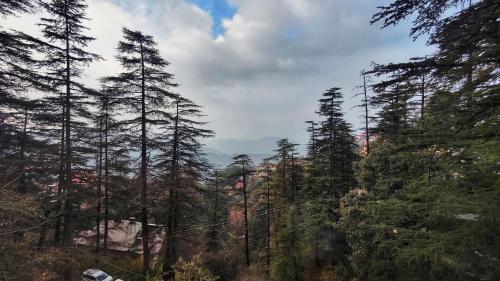 Hotel Royale Retreat - Luxury Hotel In Shimla