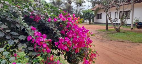 A szálláshely kívülről, Isuru Holiday Inn in Matara