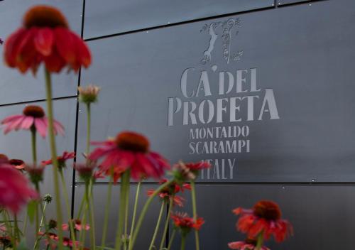 Ca' del Profeta Suites & SPA 4