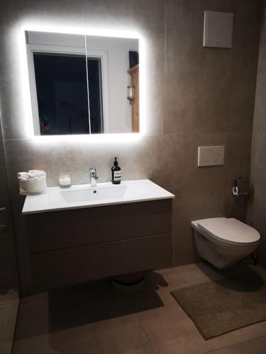  Appartement centre Estavayer in Estavayer-le-Lac