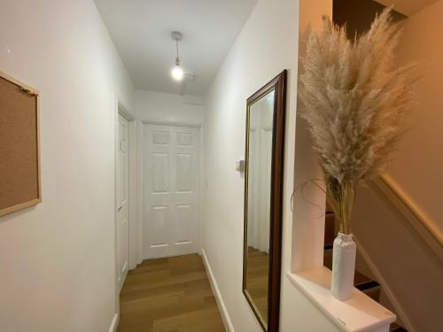 Nice Living Serviced Accommodations 4 4