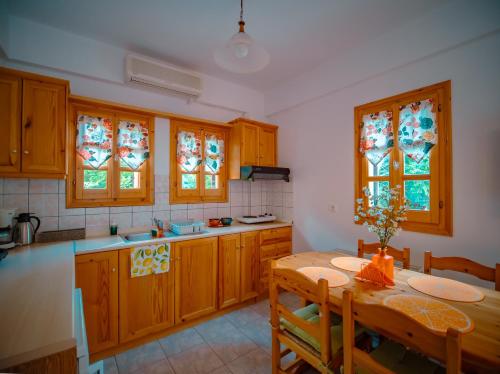 kuchnia, Orange House for big families in Damouchari - Delicious Houses in Ntamouchari