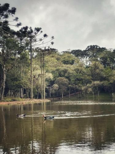 Oásis Pousada – Cambará do Sul, CA