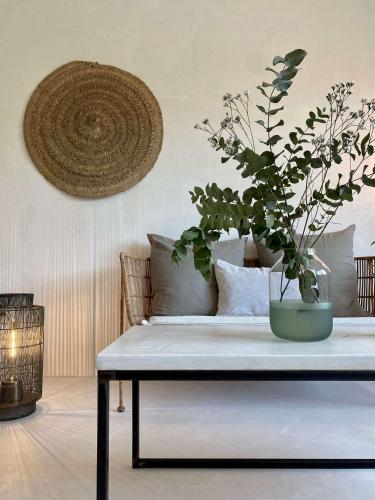 Instalaciones, Edville Studio in Gante