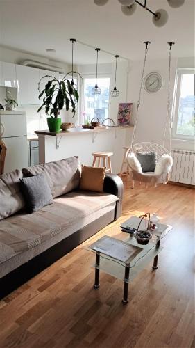 Shine24 - Spacious and Bright Apartment with Swing and Free Parking, Novi Sad (photo 2)