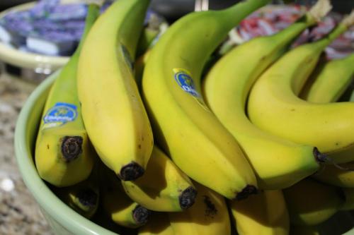 Travelodge by Wyndham Florida City/Homestead/Everglades - image 10