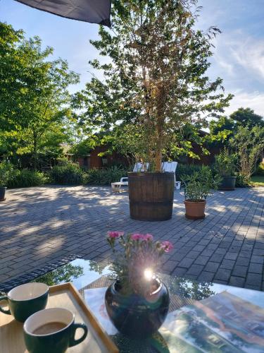 Létesítmények, Dream Horse Apartman Cserkeszolo in Cserkeszőlő