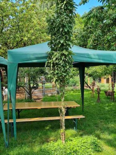 Gemütliche Wohnung auf dem Ziegenhof (Gemutliche Wohnung auf dem Ziegenhof) in Lemgo