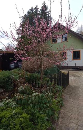 Gemütliche Wohnung auf dem Ziegenhof (Gemutliche Wohnung auf dem Ziegenhof) in Lemgo