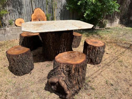 Blissful Stay in Alamo Heights near Witte Múzeum