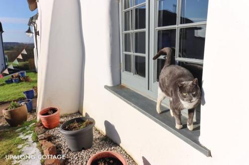 UpAlong Cottage - HiddenDevon