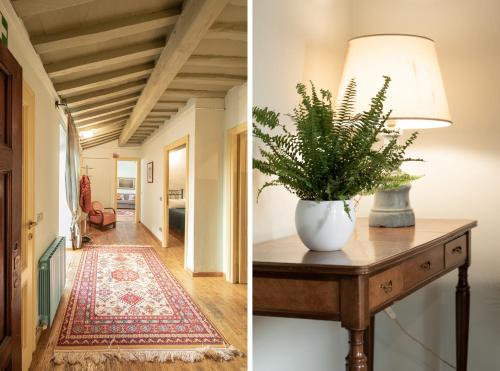 Savina's Apartment - image 14