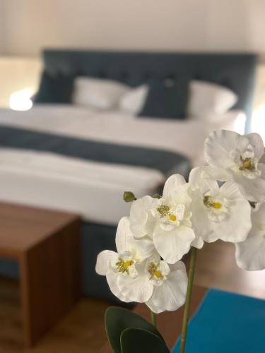 Home Sweet Apartments | contactless check-in - main image