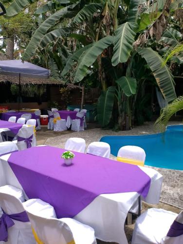 Two crazy monkeys  in Daanbantayan