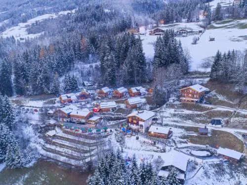 Chalet in Wildkogel near Ski Slopes in Neukirchen am Großvenediger, Österreich