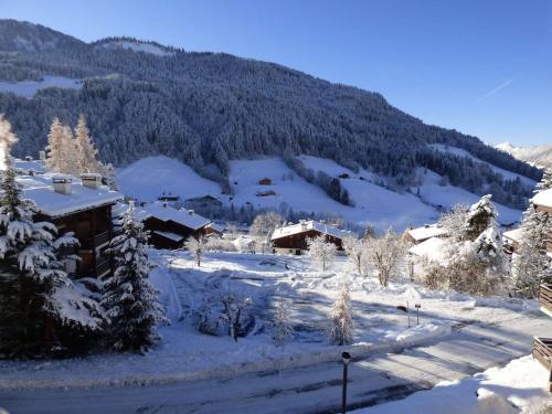 Studio Le Grand-Bornand, 1 pièce, 4 personnes - FR-1-458-154 Le Grand Bornand