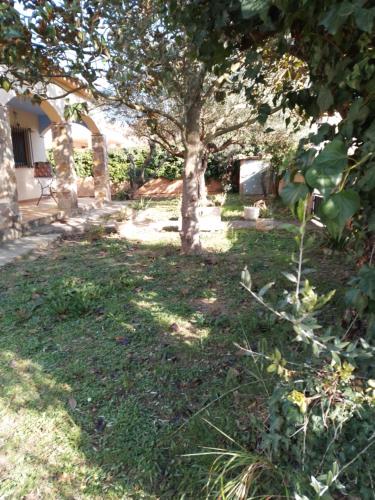 Casa amb jardi a poble de l'Alt Emporda in Camallera
