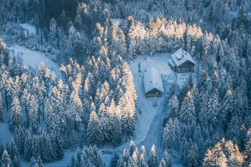 Villa Šumik- Peaceful Hideaway