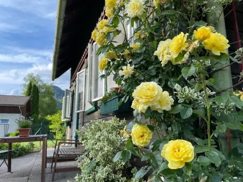 Holzhaus Falkenstein in Schwarzau im Gebirge, Österreich