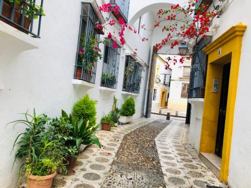 Vallaindiano, Córdoba (fotografie 5)