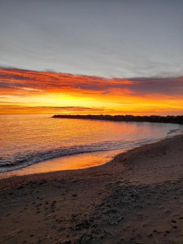 Les pieds dans l'eau - Accommodation - Sainte-Marie-la-Mer