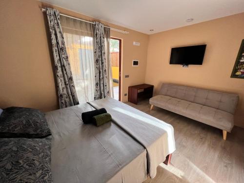 1 queen bed, 1 sofa bed
