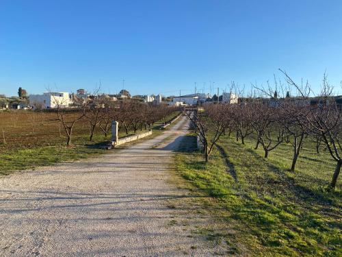 Trullo Della Selva – Alberobello, LA