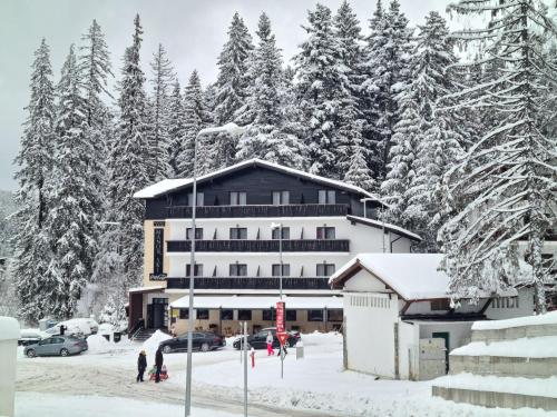 Manor Ski Hotel - Predeal