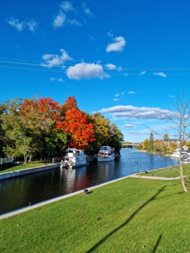 Three Island Motel in Young's Cove (ON)