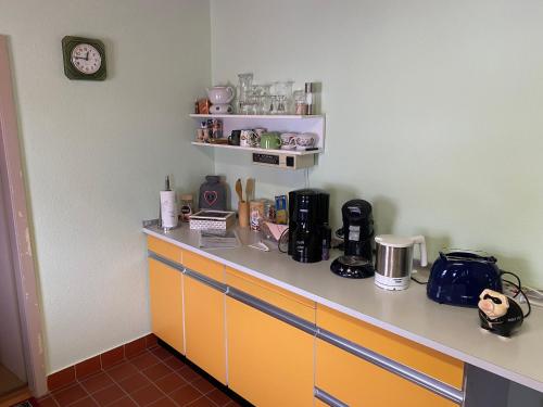 設施, Retro Ferienwohnung mit Schlossblick im Nordschwarzwald in 阿爾滕施泰格